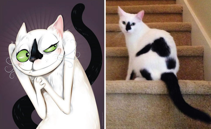 draw_a_pet_08