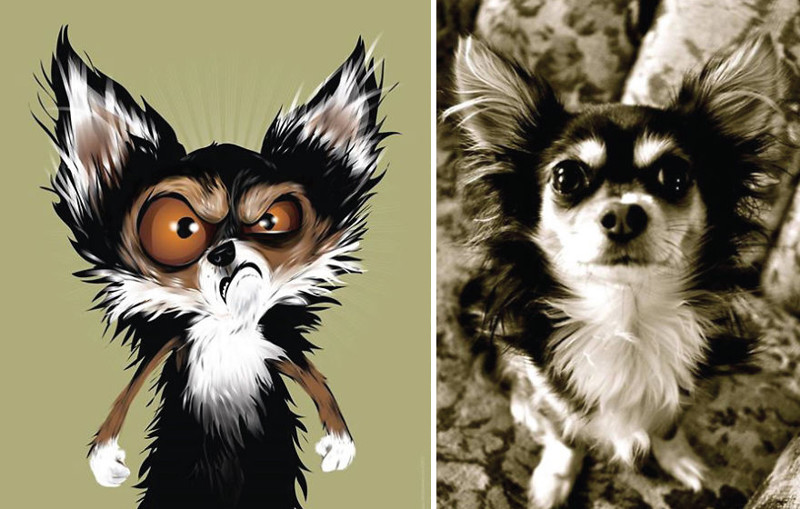 draw_a_pet_10