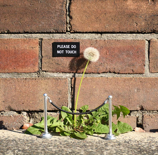 street-art-01