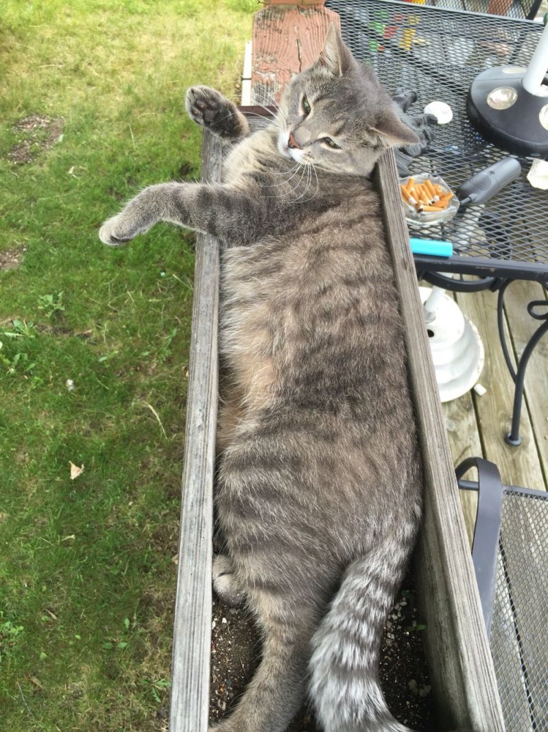 20150530_04