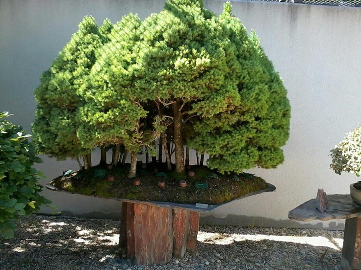20160518_09