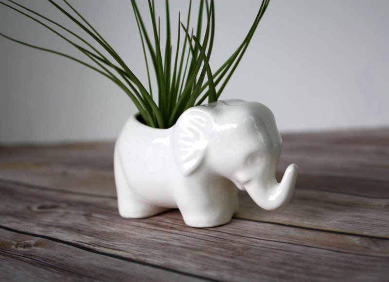 airplant-holders-03