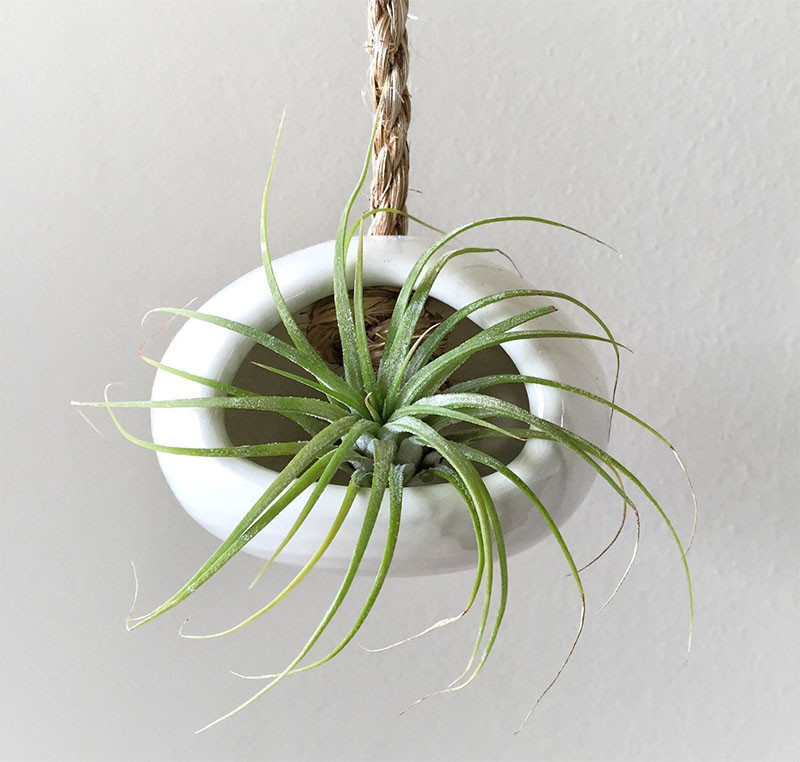 airplant-holders-07