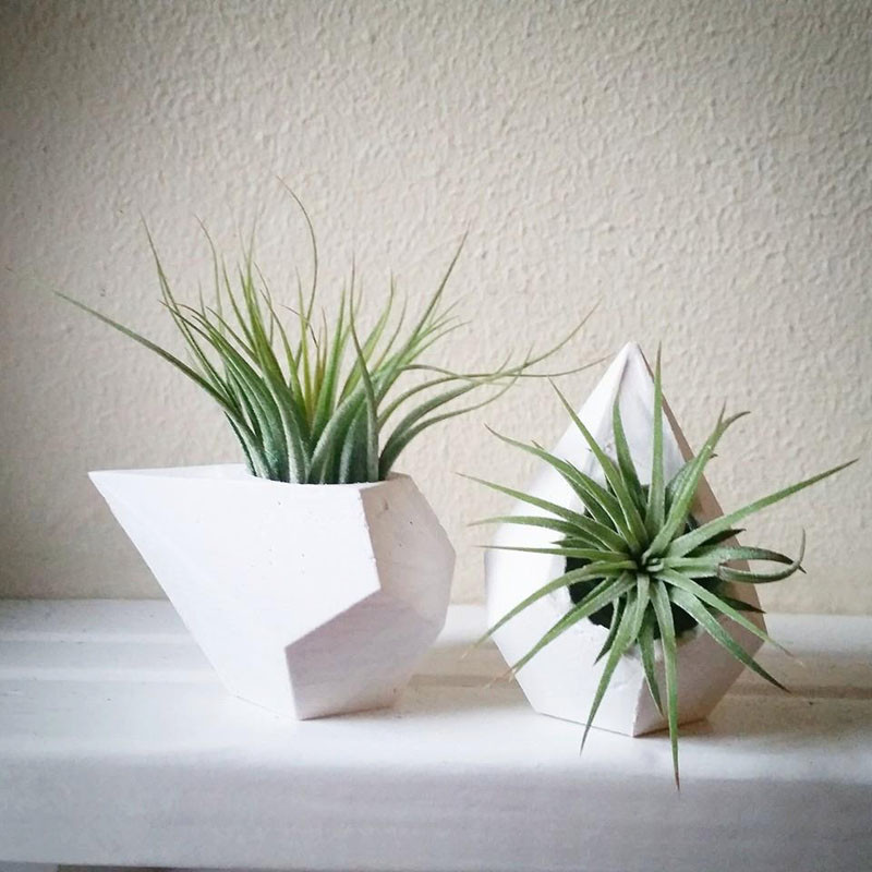 airplant-holders-09