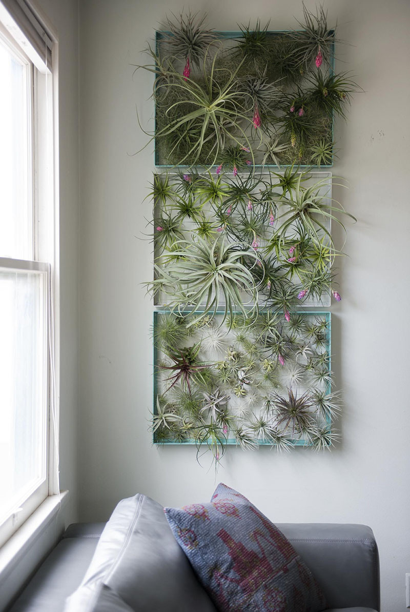 airplant-holders-10