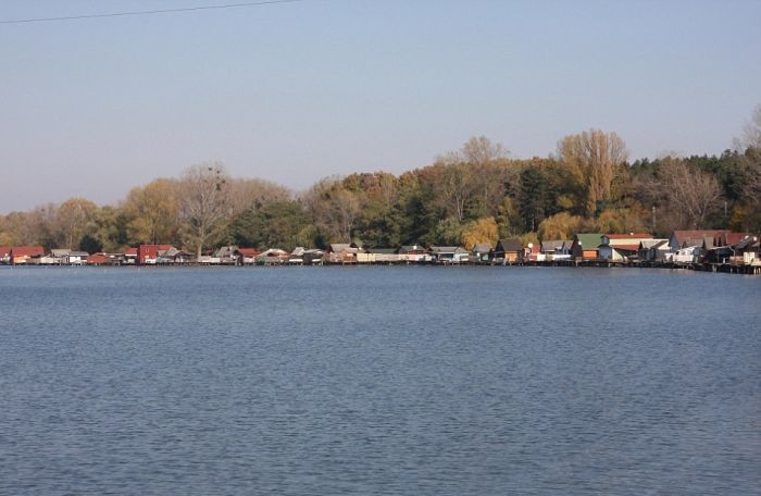bokod_04