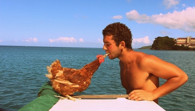 hen_01