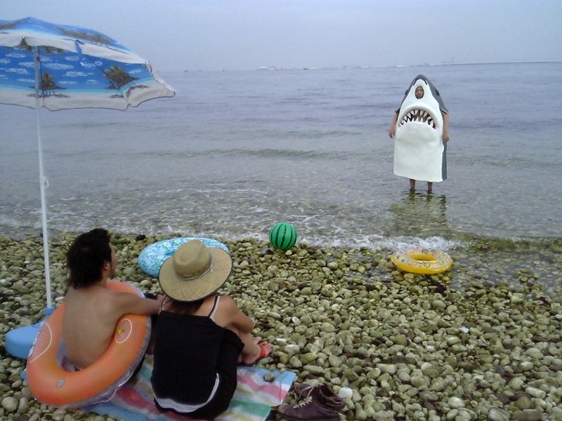 seapics1
