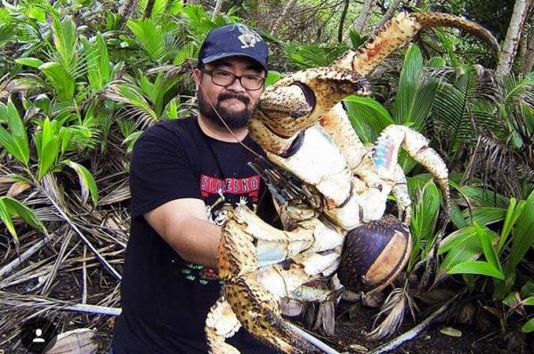 Christmas-Island-tourist-catches-massive-coconut-crab